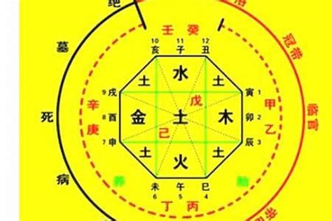 喜用神 木|如何确定八字喜用神 – 八字喜用神的取用技巧